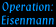 Operation: Eisenmann